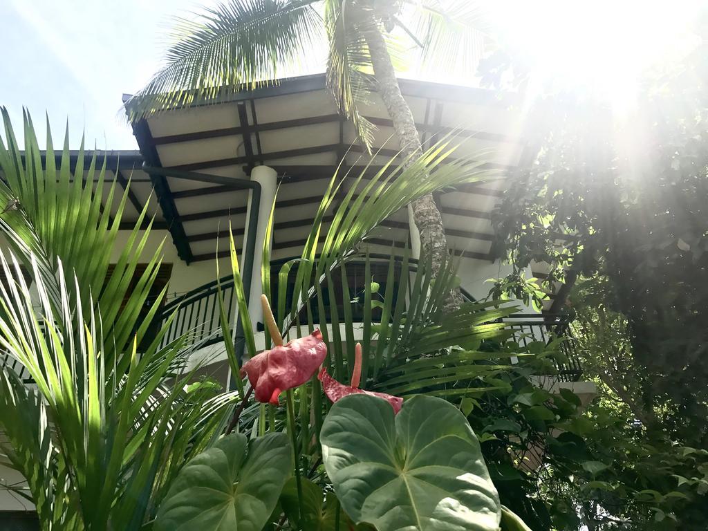 Mount Nature Villa Hikkaduwa Habitación foto